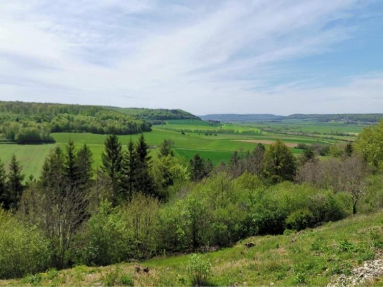 Le Nid D'Alex Spa , Rando Et Table D'Hote Autigny-la-Tour ภายนอก รูปภาพ